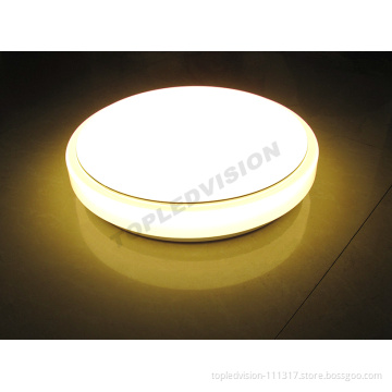 Ceiling Mounted Light 18W